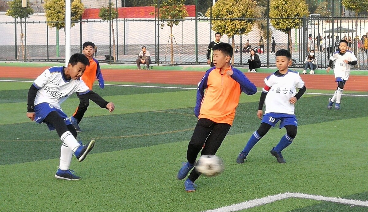 的年轻化阵 的年轻化阵